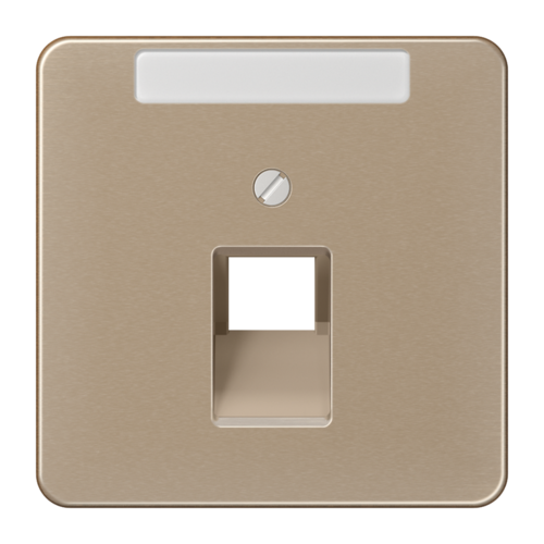 JUNG CD 500/CD plus Бронза Накладка 1-ой наклонной ТЛФ/комп розетки с полем для надписи