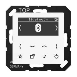 Цифровое радио Jung А-СЕРИЯ, с дисплеем, электронный, белый, DABABTWW